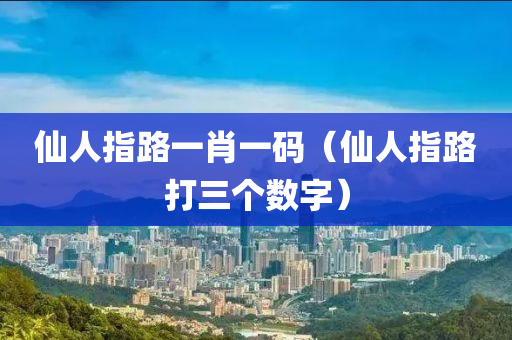 仙人指路一肖一码（仙人指路打三个数字）