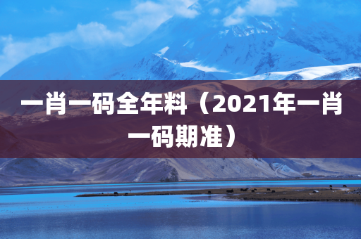 一肖一码全年料（2021年一肖一码期准）