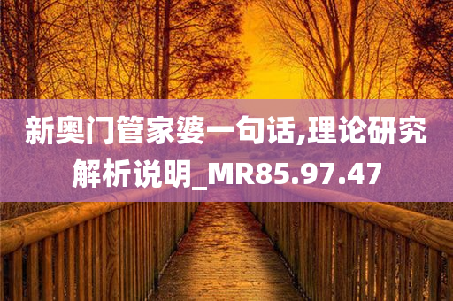 新奥门管家婆一句话,理论研究解析说明_MR85.97.47