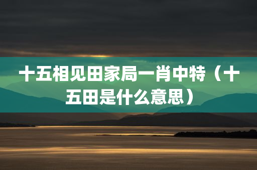 十五相见田家局一肖中特（十五田是什么意思）