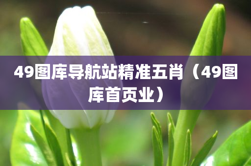 49图库导航站精准五肖（49图库首页业）