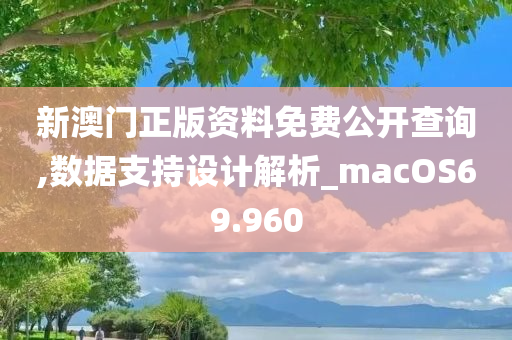 新澳门正版资料免费公开查询,数据支持设计解析_macOS69.960