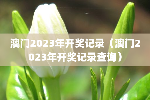 澳门2023年开奖记录（澳门2023年开奖记录查询）