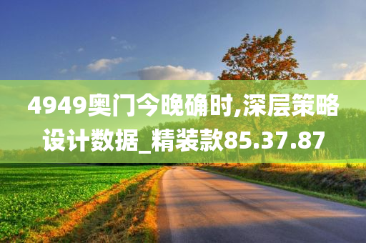 4949奥门今晚确时,深层策略设计数据_精装款85.37.87