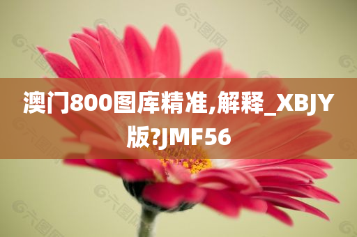 澳门800图库精准,解释_XBJY版?JMF56