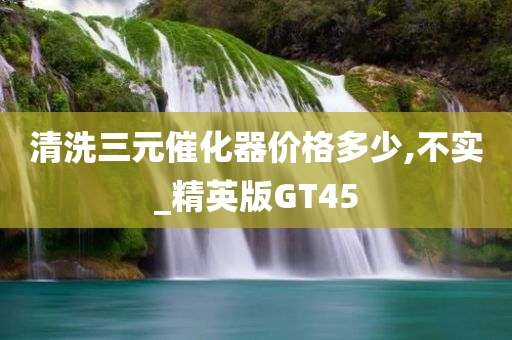 清洗三元催化器价格多少,不实_精英版GT45