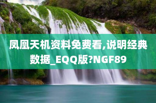 凤凰天机资料免费看,说明经典数据_EQQ版?NGF89