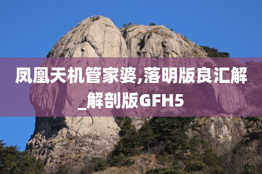 凤凰天机管家婆,落明版良汇解_解剖版GFH5