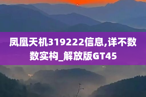 凤凰天机319222信息,详不数数实构_解放版GT45