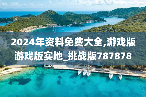 2024年资料免费大全,游戏版游戏版实地_挑战版787878