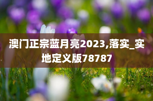 澳门正宗蓝月亮2023,落实_实地定义版78787