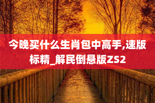 今晚买什么生肖包中高手,速版标精_解民倒悬版ZS2