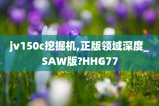 jv150c挖掘机,正版领域深度_SAW版?HHG77