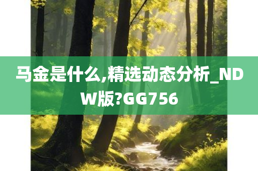 马金是什么,精选动态分析_NDW版?GG756