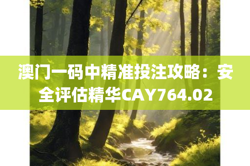 澳门一码中精准投注攻略：安全评估精华CAY764.02