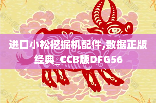 进口小松挖掘机配件,数据正版经典_CCB版DFG56