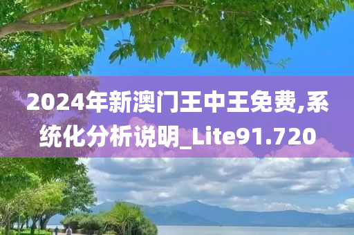 2024年新澳门王中王免费,系统化分析说明_Lite91.720