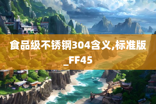 食品级不锈钢304含义,标准版_FF45