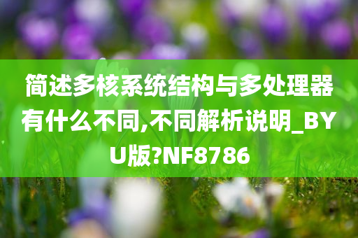 简述多核系统结构与多处理器有什么不同,不同解析说明_BYU版?NF8786