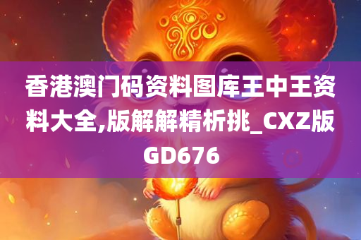 香港澳门码资料图库王中王资料大全,版解解精析挑_CXZ版GD676