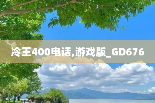 冷王400电话,游戏版_GD676