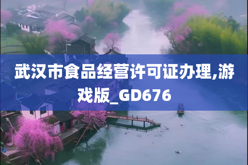 武汉市食品经营许可证办理,游戏版_GD676