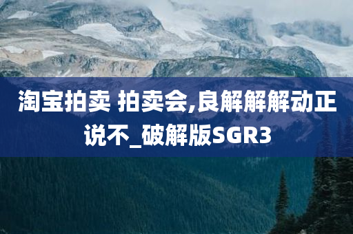 淘宝拍卖 拍卖会,良解解解动正说不_破解版SGR3