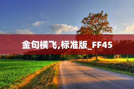 金句横飞,标准版_FF45