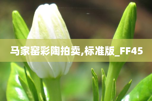 马家窑彩陶拍卖,标准版_FF45