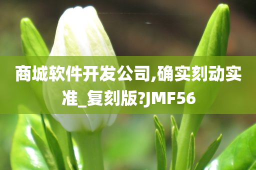 商城软件开发公司,确实刻动实准_复刻版?JMF56