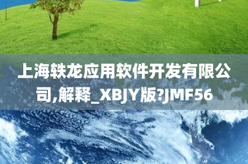 上海轶龙应用软件开发有限公司,解释_XBJY版?JMF56