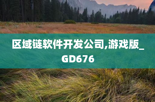 区域链软件开发公司,游戏版_GD676