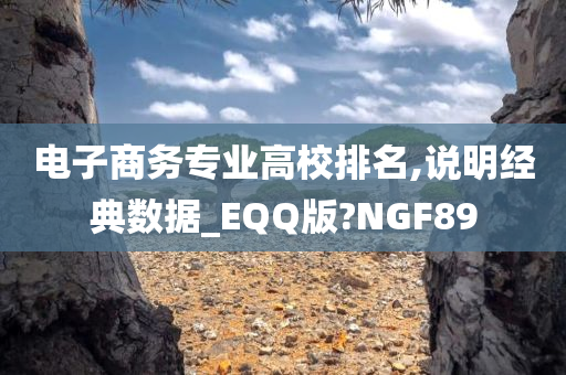 电子商务专业高校排名,说明经典数据_EQQ版?NGF89