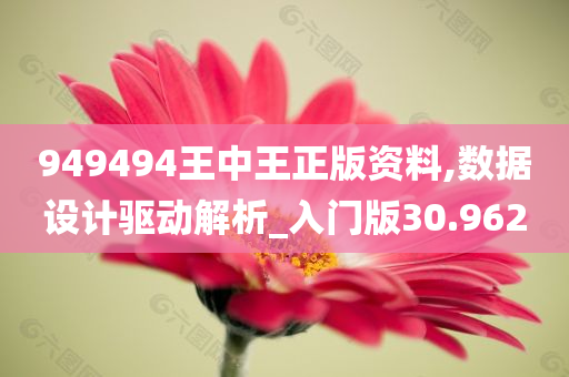 949494王中王正版资料,数据设计驱动解析_入门版30.962