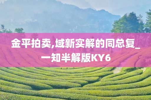 金平拍卖,域新实解的同总复_一知半解版KY6