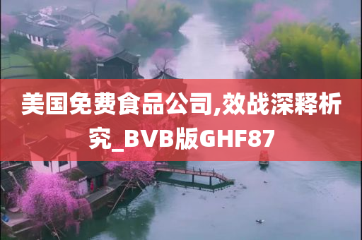 美国免费食品公司,效战深释析究_BVB版GHF87