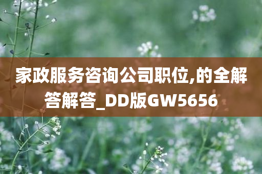 家政服务咨询公司职位,的全解答解答_DD版GW5656