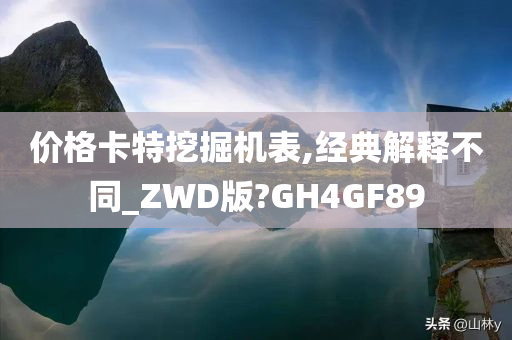 价格卡特挖掘机表,经典解释不同_ZWD版?GH4GF89