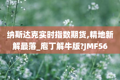 纳斯达克实时指数期货,精地新解最落_庖丁解牛版?JMF56