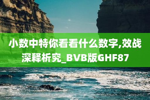 小数中特你看看什么数字,效战深释析究_BVB版GHF87