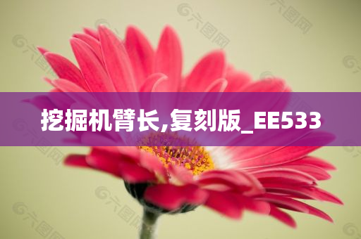 挖掘机臂长,复刻版_EE533