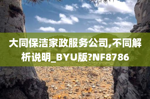 大同保洁家政服务公司,不同解析说明_BYU版?NF8786