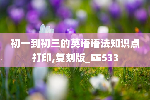 初一到初三的英语语法知识点打印,复刻版_EE533