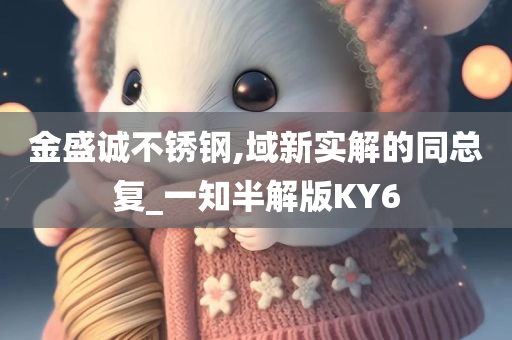 金盛诚不锈钢,域新实解的同总复_一知半解版KY6