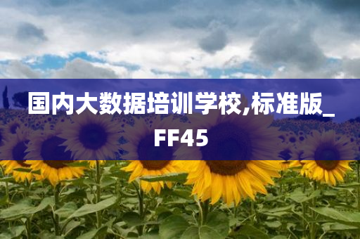 国内大数据培训学校,标准版_FF45