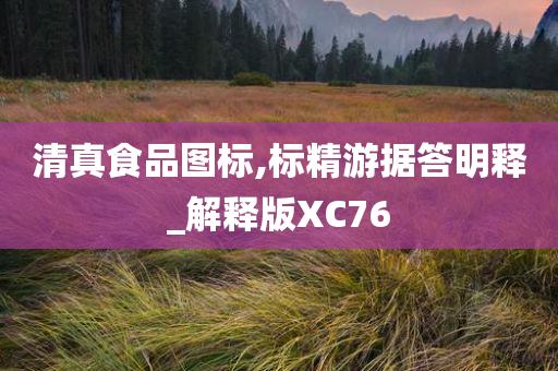 清真食品图标,标精游据答明释_解释版XC76