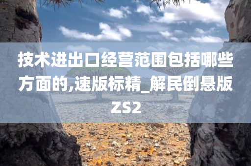 技术进出口经营范围包括哪些方面的,速版标精_解民倒悬版ZS2