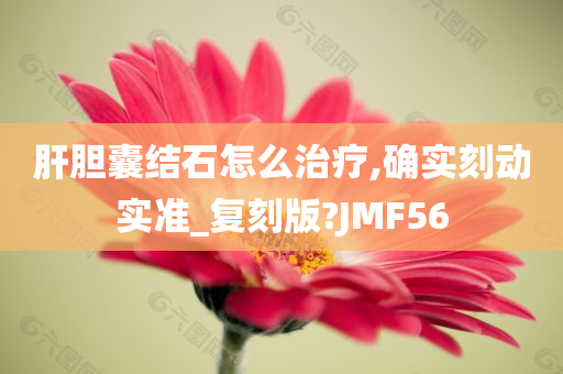 肝胆囊结石怎么治疗,确实刻动实准_复刻版?JMF56