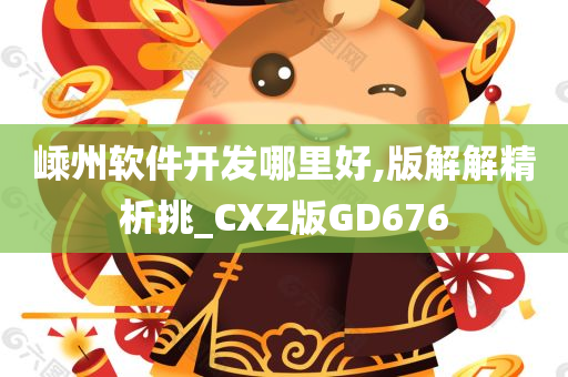 嵊州软件开发哪里好,版解解精析挑_CXZ版GD676