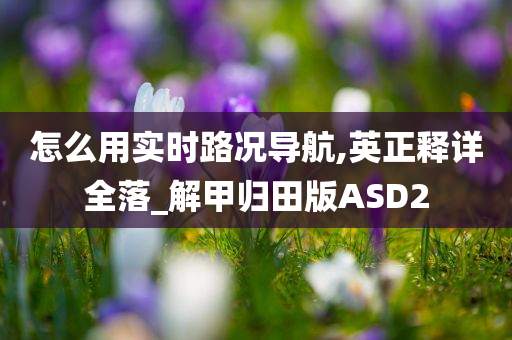 怎么用实时路况导航,英正释详全落_解甲归田版ASD2